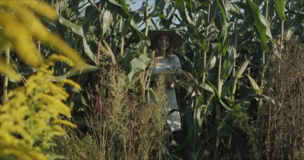 Jonge vrouw boer bij maïs oogst — Stockvideo