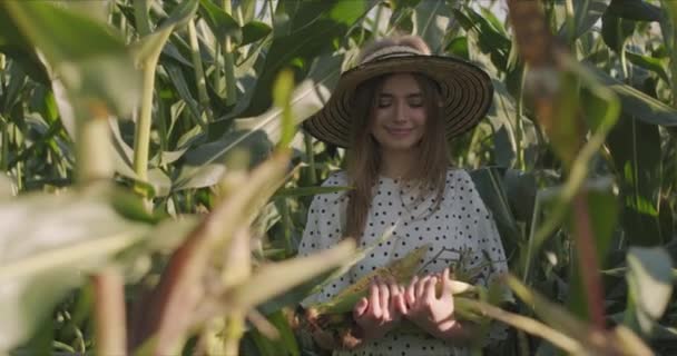 Jonge vrouw boer bij maïs oogst — Stockvideo