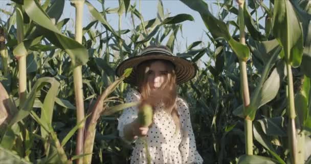 Junge Bäuerin bei der Maisernte — Stockvideo
