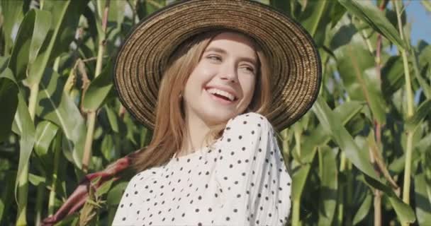 Mujer joven agricultora en cosecha de maíz — Vídeos de Stock