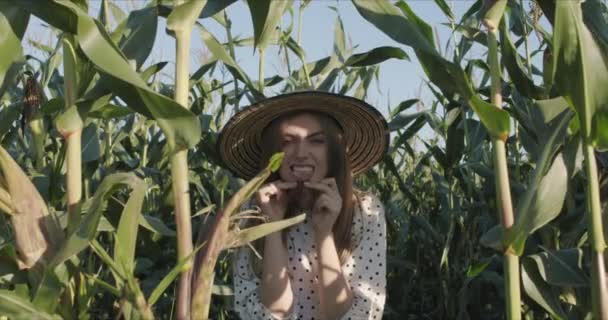 Jonge vrouw boer op maïsveld — Stockvideo