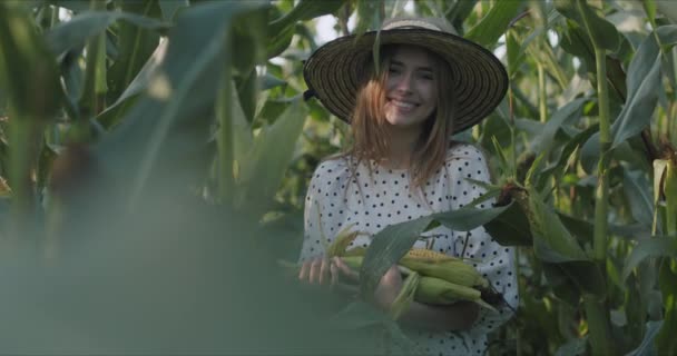 Jeune femme au champ de maïs — Video