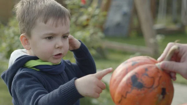 ハロウィンのためのカボチャと男の子の肖像 — ストック写真