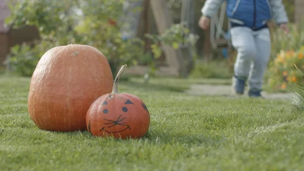 Ritratto di bambino con zucca per Halloween — Foto Stock