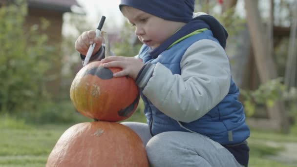 Portrét malého chlapce s dýní na Halloween — Stock video