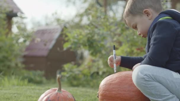 Porträt eines kleinen Jungen mit Kürbis zu Halloween — Stockvideo
