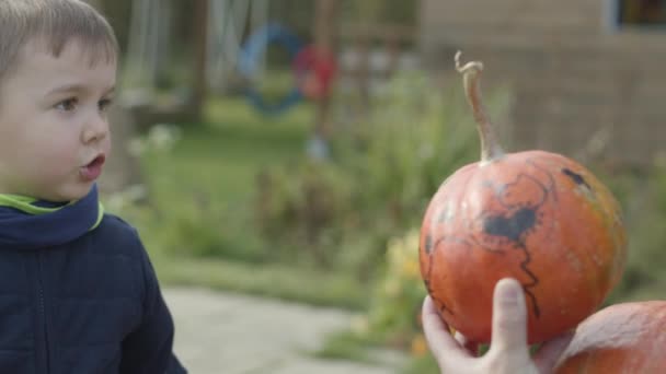 Portrét malého chlapce s dýní na Halloween — Stock video