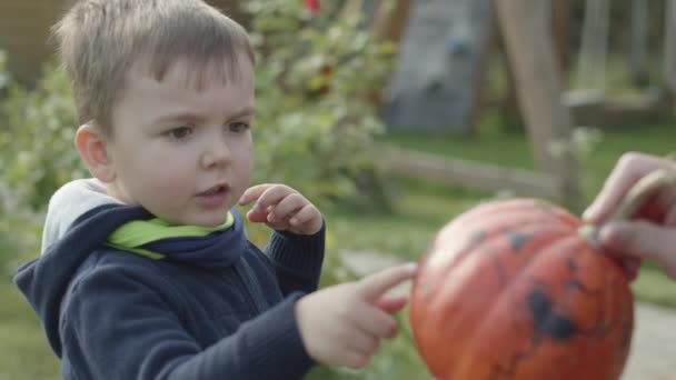 Porträtt av liten pojke med pumpa för Halloween — Stockvideo