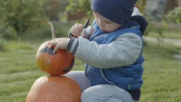 ハロウィンのためのカボチャと男の子の肖像 — ストック写真