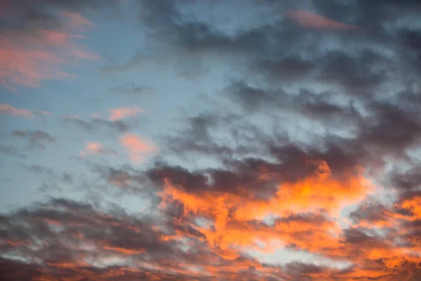 Beau Dramatique Ciel Rouge Coucher Soleil Dans Soirée — Photo