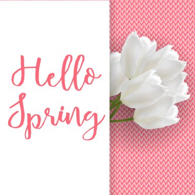 Bahar satışı büyük başlığı Merhaba. Özel fırsat. Vektör çizim. EPS 10