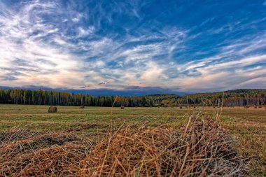 Renkli ağaçlar ve pacturesque gökyüzü güzel sonbahar orman suya yansıyan. Sonbahar Doğa Manzara.