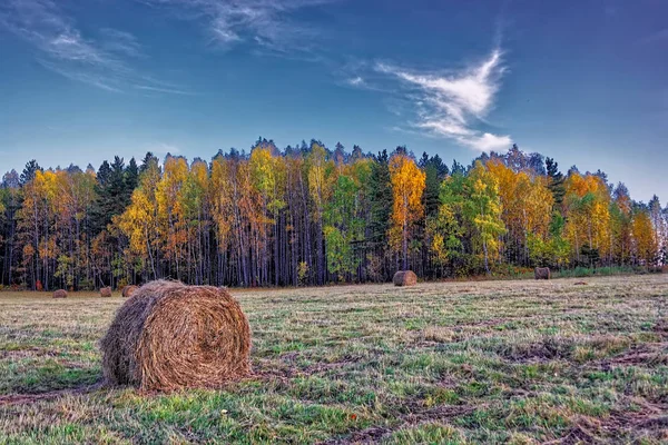 Hermoso Bosque Otoñal Con Árboles Coloridos Cielo Pacífico Reflejado Agua —  Fotos de Stock