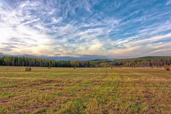 秋の森と日没の背景に乾草のロールと傾斜の牧草地 — ストック写真