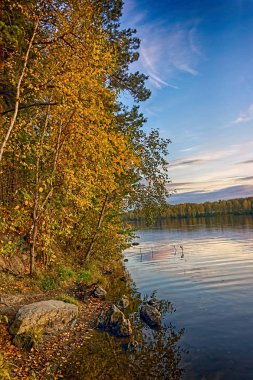 Göl kenarında ormandaki sonbahar manzara günbatımı