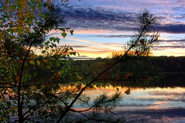 Outono Paisagem Pôr Sol Floresta Junto Lago — Fotografia de Stock