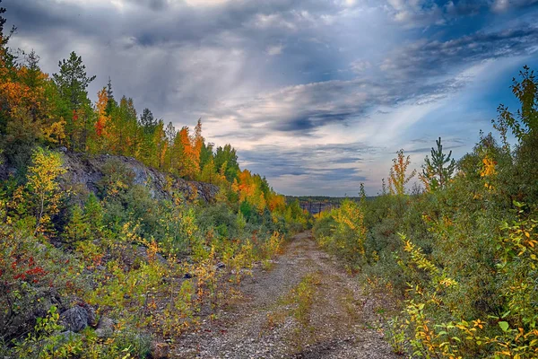 Magische Herfst Forrest Kleurrijke Herfst Bladeren Romantische Achtergrond Zonnestralen Vóór — Stockfoto