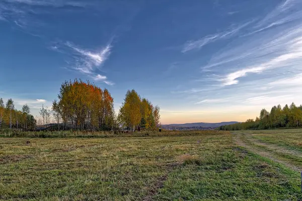 Pradera Cortada Contra Telón Fondo Del Bosque Otoñal Puesta Sol — Foto de Stock