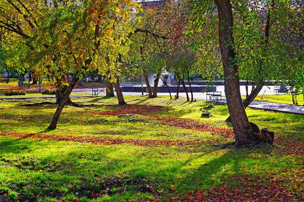 Осіннє Міський Пейзаж Жовте Листя Покриває Алею — стокове фото