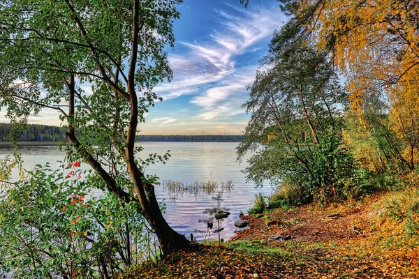 Hösten Landskap Solnedgång Skogen Vid Sjön — Stockfoto