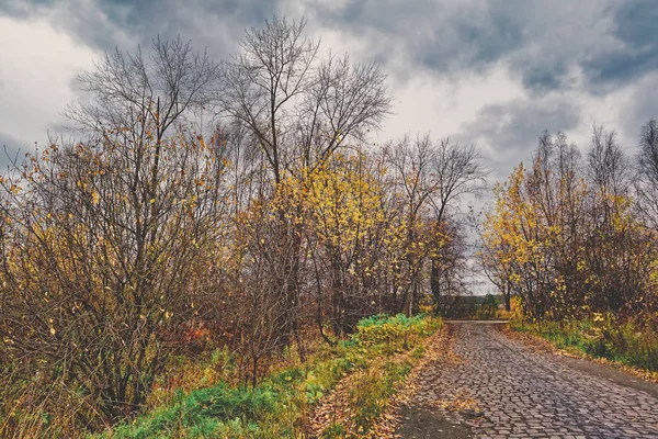 Jesienny Krajobraz Przed Zachmurzonym Niebie Przed Deszczem — Zdjęcie stockowe