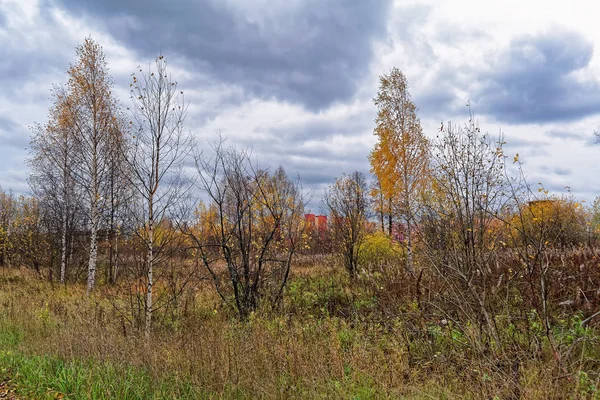 Осенний Пейзаж Против Облачного Неба Перед Дождем — стоковое фото