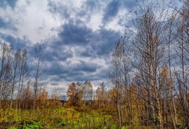 Bir bulutlu gökyüzü yağmurdan önce karşı sonbahar manzara