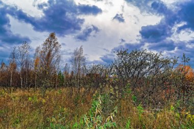 Bir bulutlu gökyüzü yağmurdan önce karşı sonbahar manzara