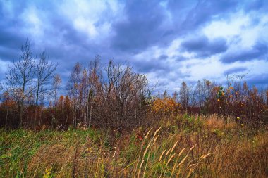 Bir bulutlu gökyüzü yağmurdan önce karşı sonbahar manzara