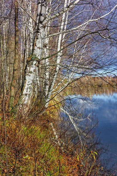 Paisaje otoñal soleado día cálido en el bosque junto al río — Foto de Stock