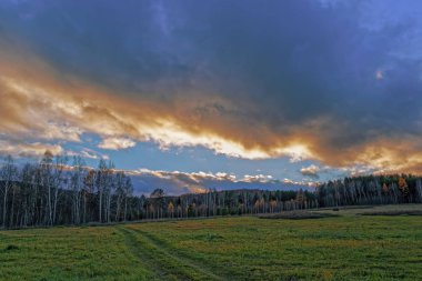 Sonbahar yatay, Kuru otların arasında ayar güneş tarafından aydınlatılmış bulutlar ile orman ve günbatımı gökyüzü arka plan üzerinde çayır