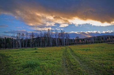 Sonbahar yatay, Kuru otların arasında ayar güneş tarafından aydınlatılmış bulutlar ile orman ve günbatımı gökyüzü arka plan üzerinde çayır