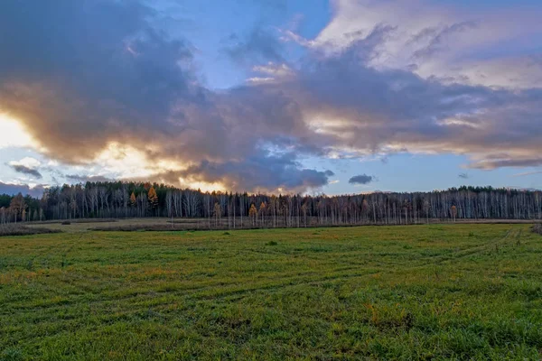 フォレストと日没空は夕日に照らされた雲の背景に草原の乾いた草と秋の風景 — ストック写真