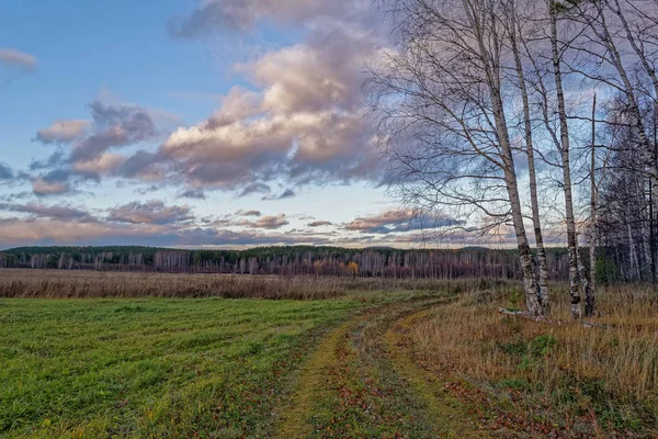 Herfst landschap met gedroogd gras in de wei op de achtergrond van bos en zonsondergang hemel — Stockfoto