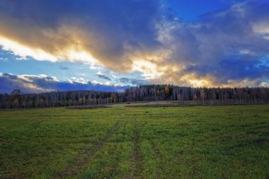 Sonbahar yatay, Kuru otların arasında ayar güneş tarafından aydınlatılmış bulutlar ile orman ve günbatımı gökyüzü arka plan üzerinde çayır