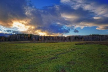 Sonbahar yatay, Kuru otların arasında ayar güneş tarafından aydınlatılmış bulutlar ile orman ve günbatımı gökyüzü arka plan üzerinde çayır