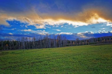 Sonbahar yatay, Kuru otların arasında ayar güneş tarafından aydınlatılmış bulutlar ile orman ve günbatımı gökyüzü arka plan üzerinde çayır
