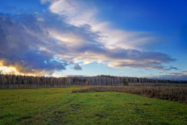 Sonbahar yatay, Kuru otların arasında ayar güneş tarafından aydınlatılmış bulutlar ile orman ve günbatımı gökyüzü arka plan üzerinde çayır