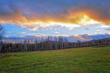 Sonbahar yatay, Kuru otların arasında ayar güneş tarafından aydınlatılmış bulutlar ile orman ve günbatımı gökyüzü arka plan üzerinde çayır