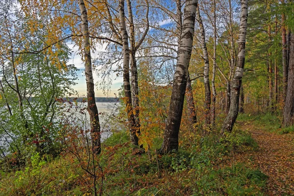 Hösten Landskap Solnedgång Skogen Vid Sjön — Stockfoto