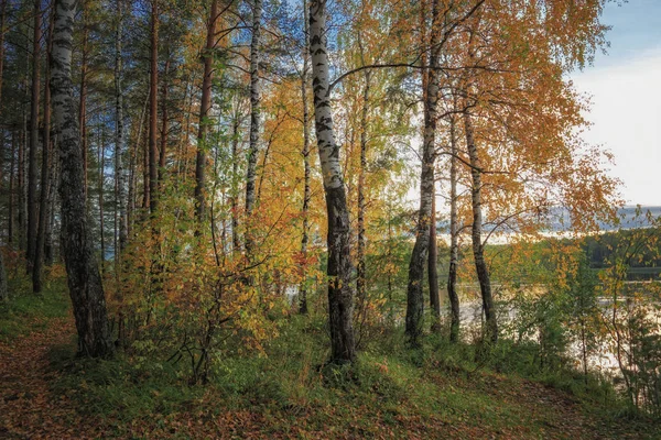 Autumn landscape sunset in the forest by the lake