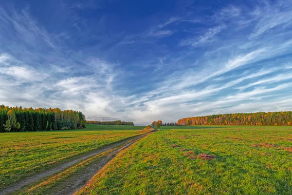 Pradera Cortada Contra Telón Fondo Del Bosque Otoñal Puesta Sol — Foto de Stock