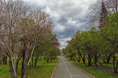 çıplak ağaç dalları bir bulutlu gökyüzü arka plan