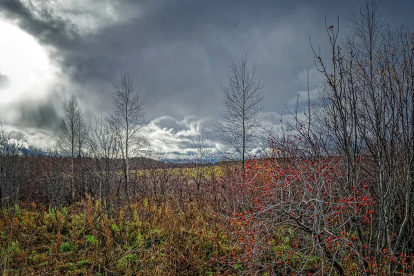 Bir Bulutlu Gökyüzü Yağmurdan Önce Karşı Sonbahar Manzara — Stok fotoğraf