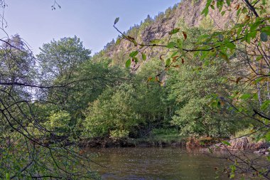 Sonbahar manzara ile çok renkli bir dağ nehir yansıyan ağaçların yaprak