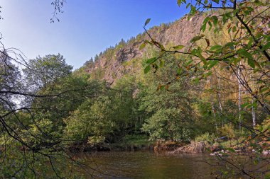 Sonbahar manzara ile çok renkli bir dağ nehir yansıyan ağaçların yaprak