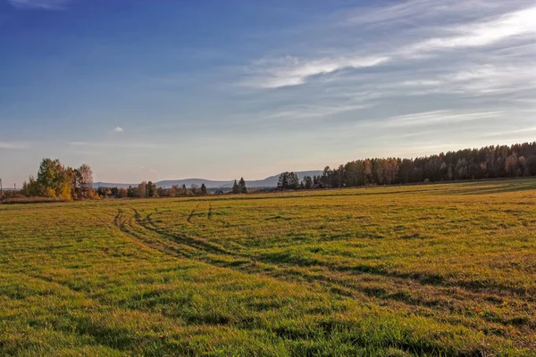 Otoño Paisaje Rural Prado Segado Fondo Los Árboles Con Follaje — Foto de Stock