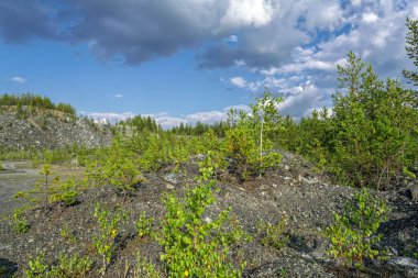 Göl kenarında ormandaki sonbahar manzara günbatımı