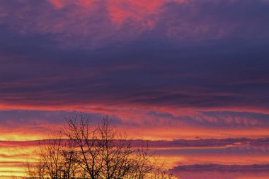 Bulutlar gökyüzünde Güneşin ufukta ayarlama ışınları tarafından aydınlatılmış