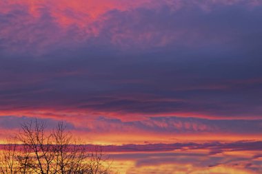 Bulutlar gökyüzünde Güneşin ufukta ayarlama ışınları tarafından aydınlatılmış